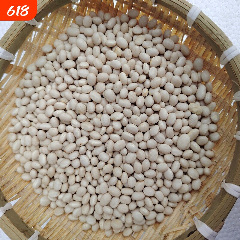 云南小白豆饭豆米白芸豆煲汤豆子干货珍珠豆散装优质农家贵州新货