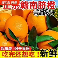 正宗赣南脐橙赣4.5斤(70mm+)