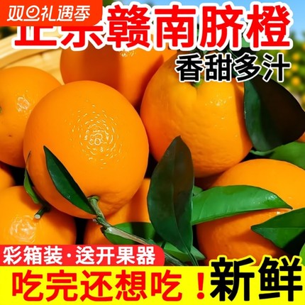 现摘正宗赣南脐橙赣州产地直发江西赣州脐橙当季新鲜水果橙子5