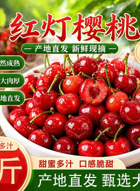 正宗大连红灯沙弥脱美早大樱桃黄金果肉脆硬汁水新鲜当季送礼源头