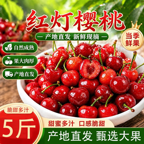 正宗大连红灯沙弥脱美早大樱桃黄金果肉脆硬汁水新鲜当季送礼源头