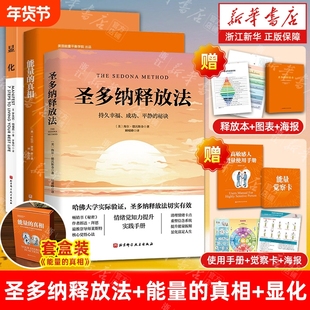 任选】能量的真相/圣多纳释放法 关于生命能量运作和提升的底层逻辑 秘密 力量 提升觉知力 高敏感能量使用手册 平衡操 能量觉察书