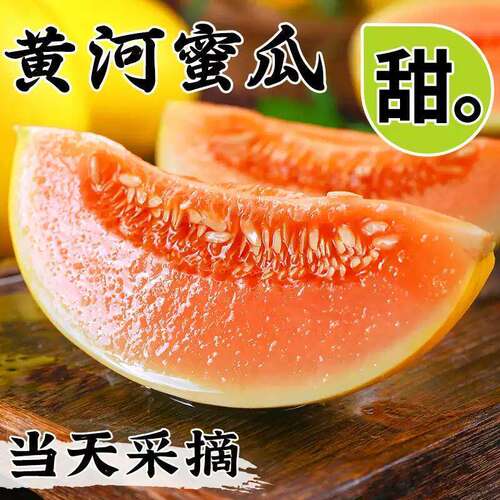 甘肃民勤沙漠黄河蜜瓜4-5斤哈密瓜新鲜水果当季整箱黄金原产地