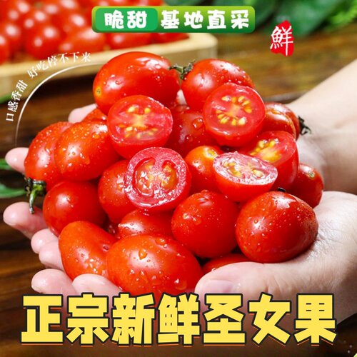 圣女果新鲜樱桃小番茄时令现货孕妇水果包邮一颗自提自然熟清甜