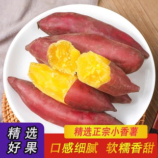 天目山小香薯3/5斤临安农家自种现挖手指红薯黄心小番薯新鲜地瓜