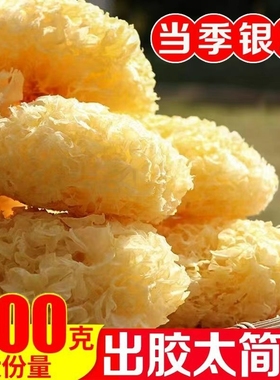 大朵银耳古田菌状元糯银耳干货白木耳雪耳新鲜无硫200g丑耳莲子羹