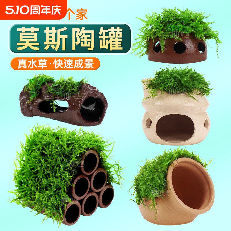 莫斯陶罐水草鱼缸造景真植物躲避罐虾屋小摆件繁殖躲避屋底部水质