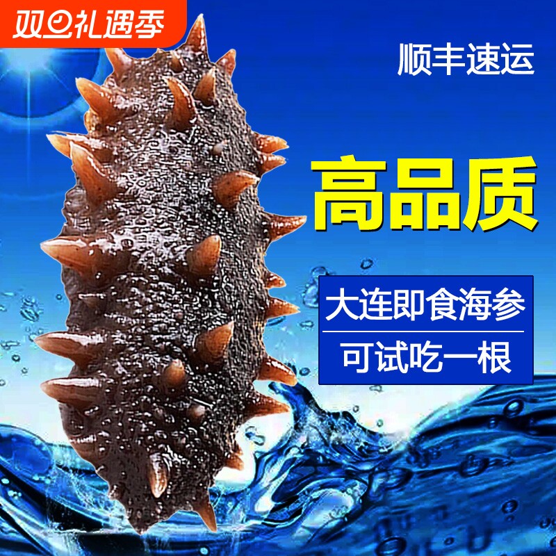 即食海参大连刺参辽参辽宁野生海参500g鲜活冷冻水产底播散装