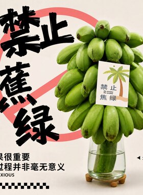 禁止蕉绿办公室水培整串小香蕉拒绝焦虑小米蕉迷你香蕉静止不蕉绿