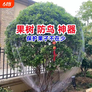 防鸟网嘉宝果树防鸟罩网罩樱桃葡萄果园专用网神器纱网尼龙防护网