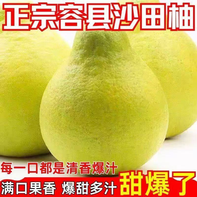 【现摘沙田柚】广西新鲜好果当季新鲜水果沙田柚白心正宗薄皮柚子,水产肉类/新鲜蔬果/熟食,柚子,淘宝优惠券,粉丝福利购,淘宝优惠卷