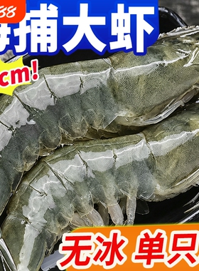 大虾鲜活速冻青岛超特大海虾基围虾冷冻青虾对虾2030海鲜水产白虾