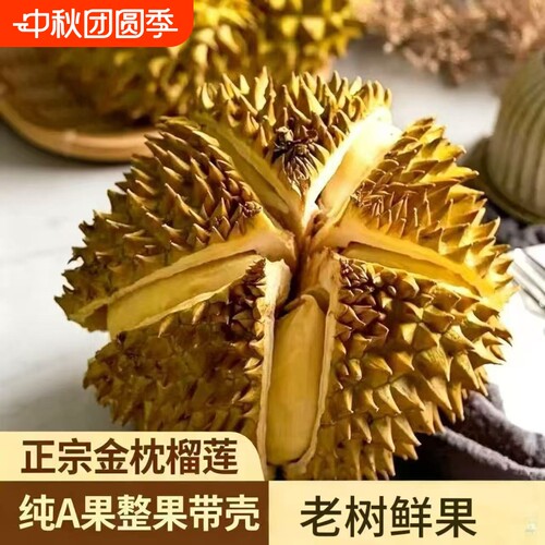 泰国老树金枕榴莲A级品质当季