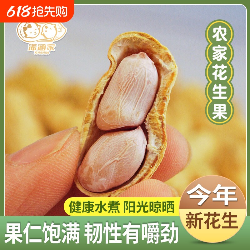 特价广东花生蒜香五香咸干多味盐水白晒水煮花生米带壳炒货熟零食