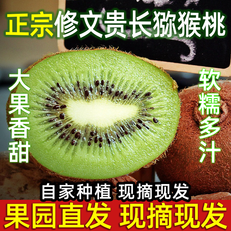 【礼盒装】贵阳修文特产猕猴桃个大味甜多汁贵长奇异果新鲜水果