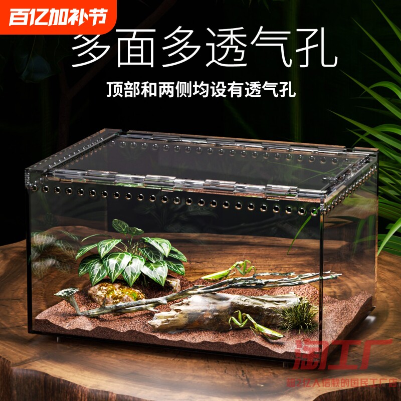 树栖箱全景爬虫缸蜥蜴睫角守宫独角仙饲养盒蜘蛛蛇蜗牛巴西龟甲虫