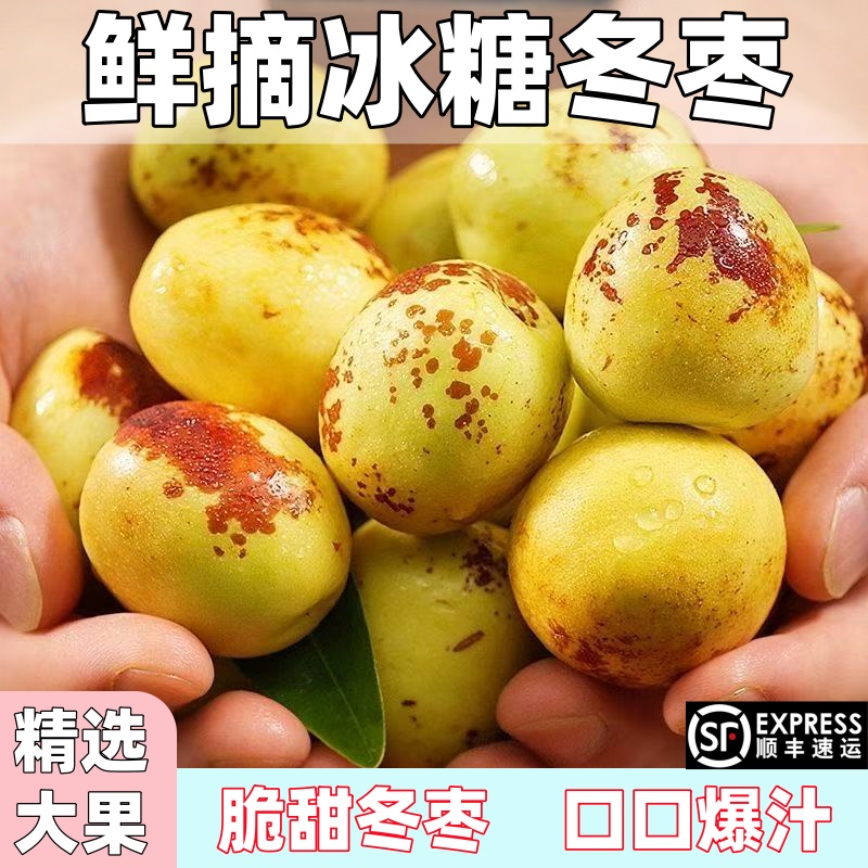 顺丰包邮正宗冬枣新鲜大果应季整箱枣子现摘脆枣冰糖大枣当季水果