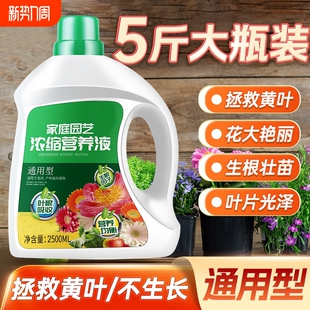 营养液植物通用型花肥家用盆栽发财树富贵竹绿萝花卉绿植肥料S