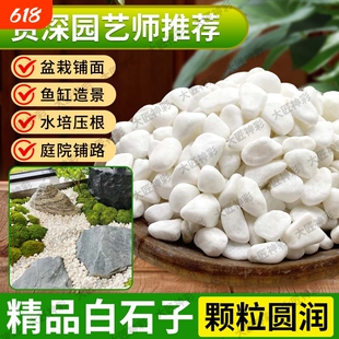 鹅卵石小白石子雨花石庭院造景多肉铺面铺路石园艺水培白色石头子