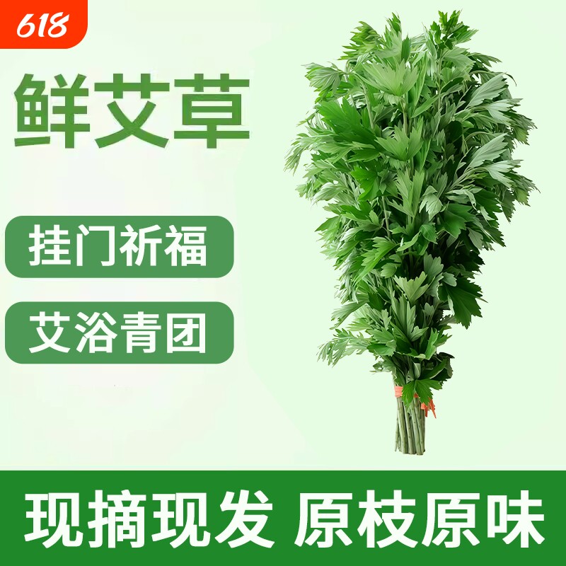 端午节新鲜艾草青艾整棵端午插门窗艾蒿泡澡儿童艾浴花材礼品花束