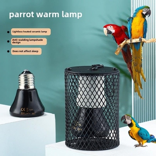 鹦鹉保温灯芦丁鸡鸟用无光陶瓷取暖仓鼠蜜袋鼯宠物加热灯温控控温