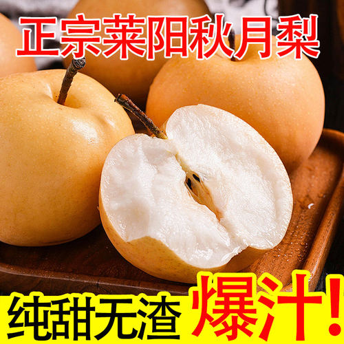 山东莱阳正宗秋月梨爆甜多汁新鲜水果冰糖蜜梨子应季现摘整箱包邮