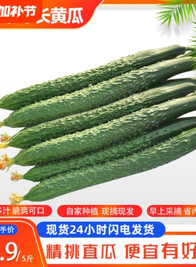 山东当季现摘黄瓜新鲜农家自种蔬菜小青瓜带刺长黄瓜5斤整箱包邮