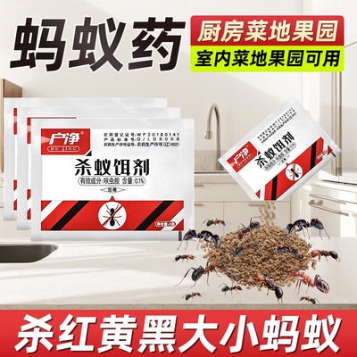 蚂蚁药家用室内全窝厨房杀蚁饵剂非无毒菜地端红火黄黑蚂蚁灭除粉
