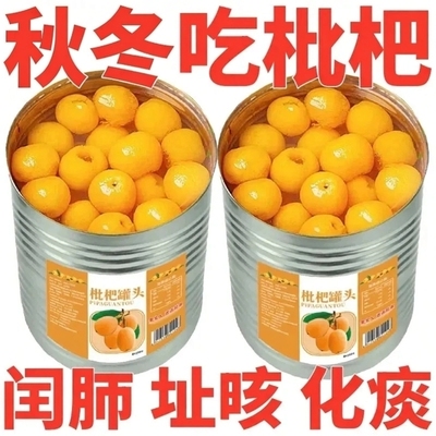 新鲜枇杷罐头糖水新鲜商用大罐