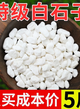 甩白石子造景鹅卵石原石天然多肉盆栽铺面园艺花盆白色石室内石头