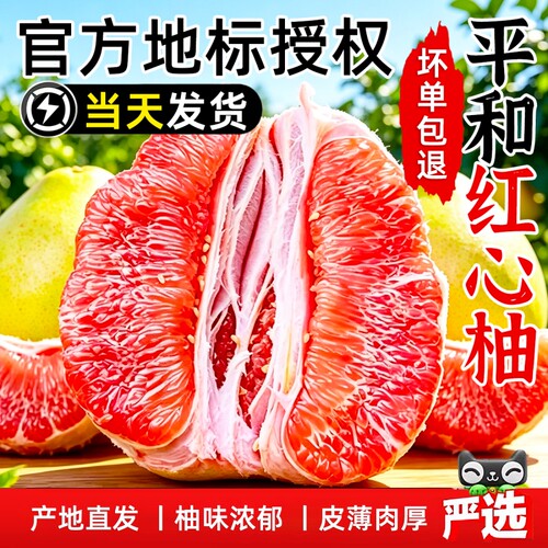 【彩箱精品】福建平和红心柚子新鲜水果当季三红柚琯溪红肉蜜柚