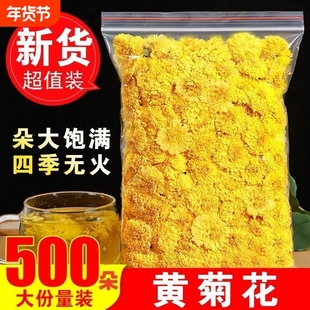 菊花茶婺源徽州皇菊高山黄菊一朵一杯黄山非金丝皇菊花贡菊花茶