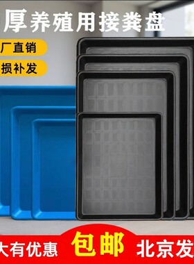宠物粪便塑料托盘笼子接盘厕所接尿盘养殖垫板猫狗兔子鸟笼盘子