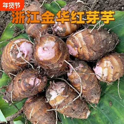 浙江金华红芽芋艿现挖新鲜毛芋小芋头红梗芽芋子农家自种9/5/3斤