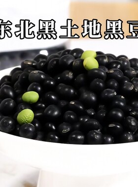 东北绿芯生黑豆打豆浆发豆芽专用农家自种杂粮黑大豆子5斤批发