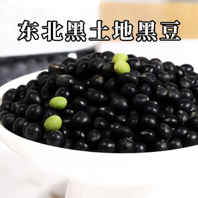 东北绿芯生黑豆打豆浆发豆芽专用农家自种杂粮黑大豆子5斤批发