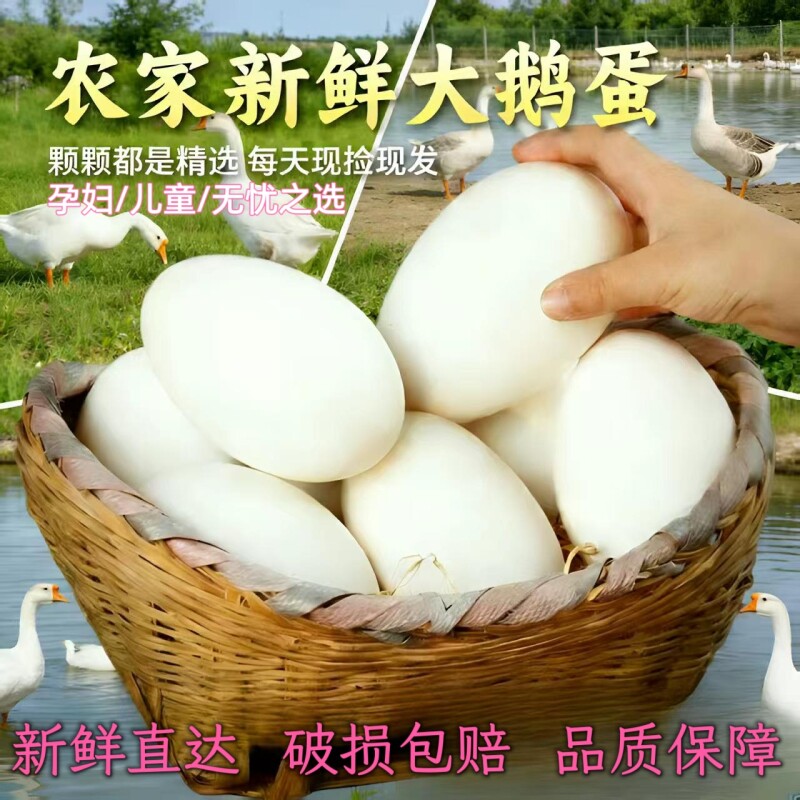 农家正宗散养土鹅蛋新鲜鹅蛋天然健康孕妇月子宝宝老人营养蛋包邮