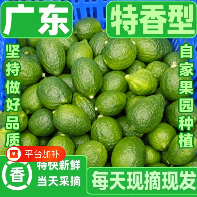 广东香水柠檬无籽奶茶店专用水果青柠檬鲜果新鲜手打二级果一级果