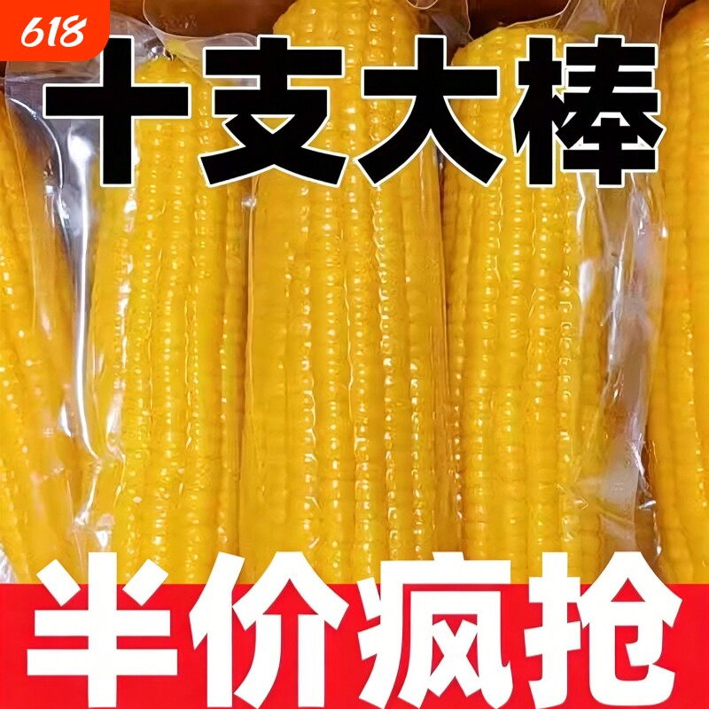 正宗东北新鲜黄糯玉米早餐代餐低脂真空包装黑土一年一季香甜饱腹