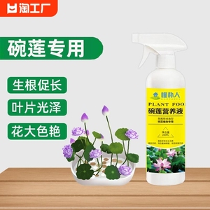 碗莲专用免稀释营养液水培植物观赏花卉养花肥一叶莲睡莲水溶肥料