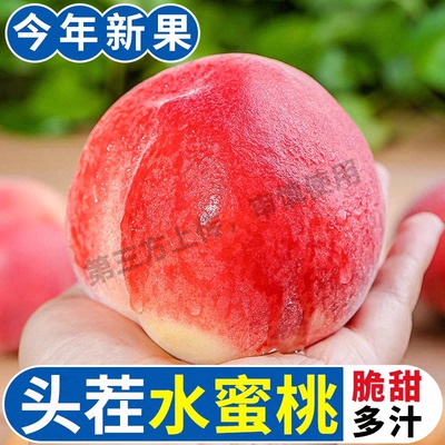 现摘水蜜桃9斤大桃子新鲜水果应当季整箱包邮软时令脆甜毛桃密桃