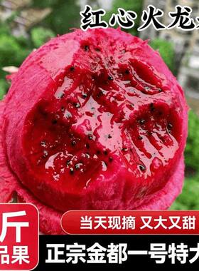 果园发货直供红心火龙果皮薄肉厚