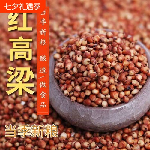 新红高粱带皮高粱米颗粒饱满