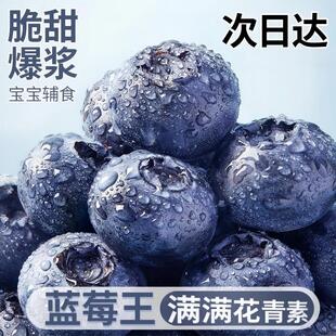 现货蓝莓鲜果新鲜水果云南l25蓝莓高山花香蓝莓新鲜当季整箱怡颗