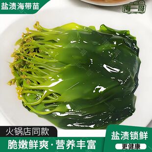 霞浦海带嫩苗新鲜盐渍海带苗火锅凉拌食材脆嫩爽口特级嫩芽小海带