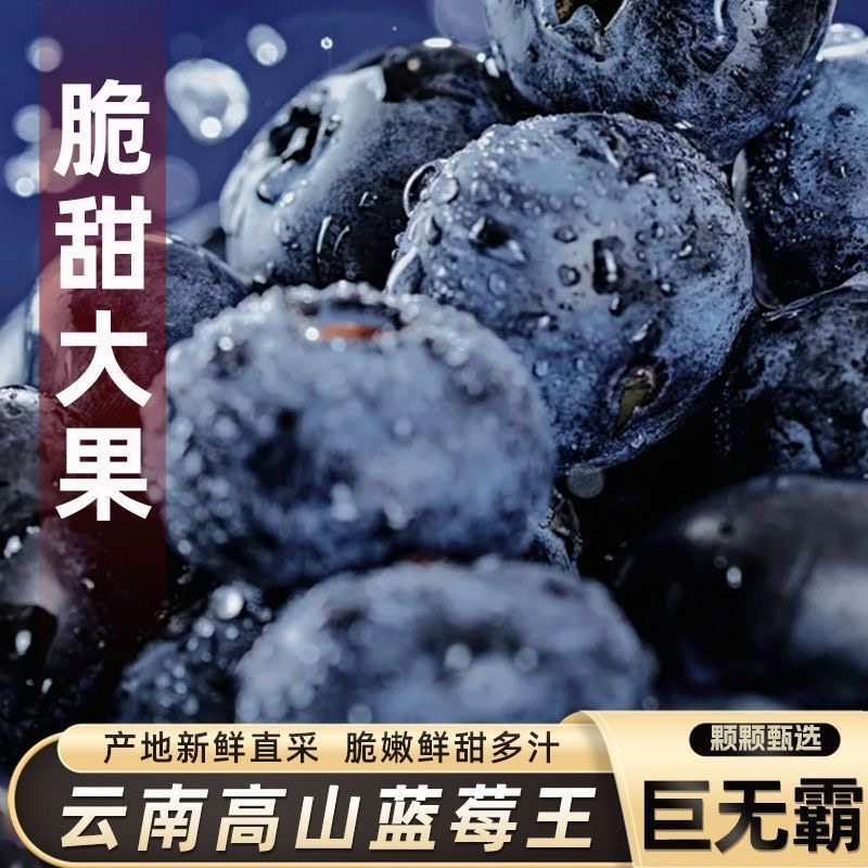 正宗新鲜云南蓝莓鲜果新鲜水果脆甜当季限量现货当季新鲜孕妇蓝莓