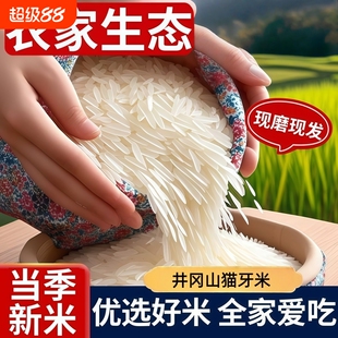 一级长粒香米好吃的江西井冈山丝苗大米当季新米煲仔饭专用长粒米