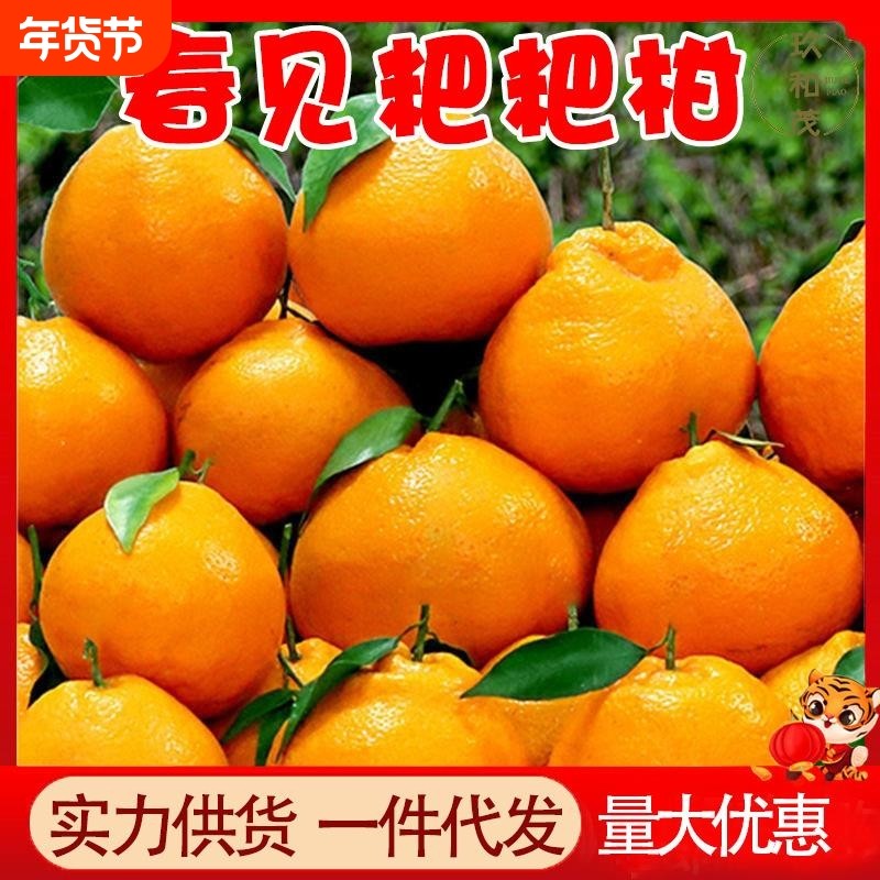 正宗四川春见耙耙柑9斤整箱柑橘当季新鲜水果10包邮5橘子橙子,水产肉类/新鲜蔬果/熟食,桔子,淘宝优惠券,粉丝福利购,淘宝优惠卷