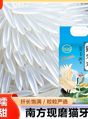 新米当季猫牙米长粒香大米香米晚稻煲仔饭蛋炒饭试吃谷丰优质优选