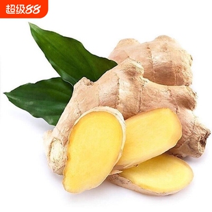 云南特产新鲜老姜小黄姜红河高山沙姜土姜现挖蔬菜精选食用生姜